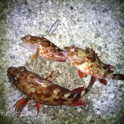 カン付き円錐でウキフカセ