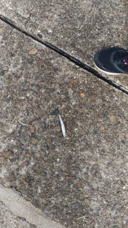 もう少しかかるかな?