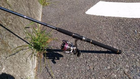 メタルマルでアイナメ