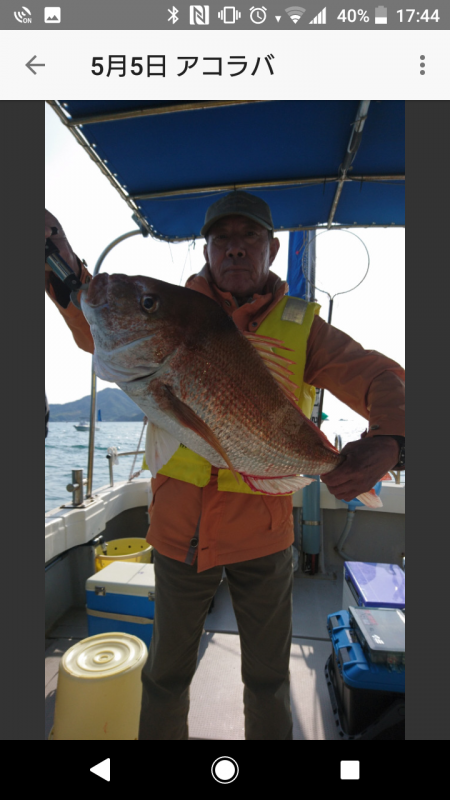 5月5日 アコウ