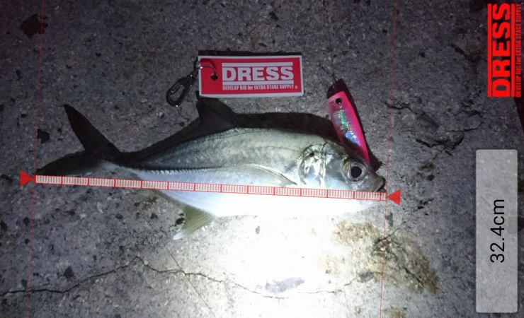 早朝１投目にオニヒラアジヒット