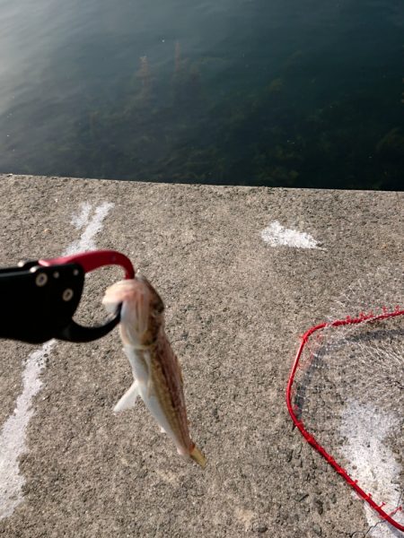 そろそろかな？