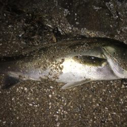 ねばってよかった