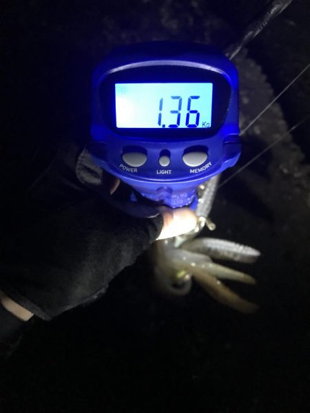 キロアップinエギングサミットin田辺