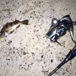 スレスレめばる修行