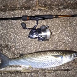 南芦屋浜〜シーバスの呪縛〜