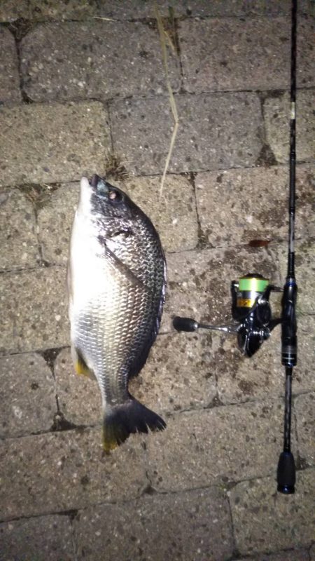 安定のメバリング！？