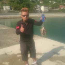 アオリイカとタコ