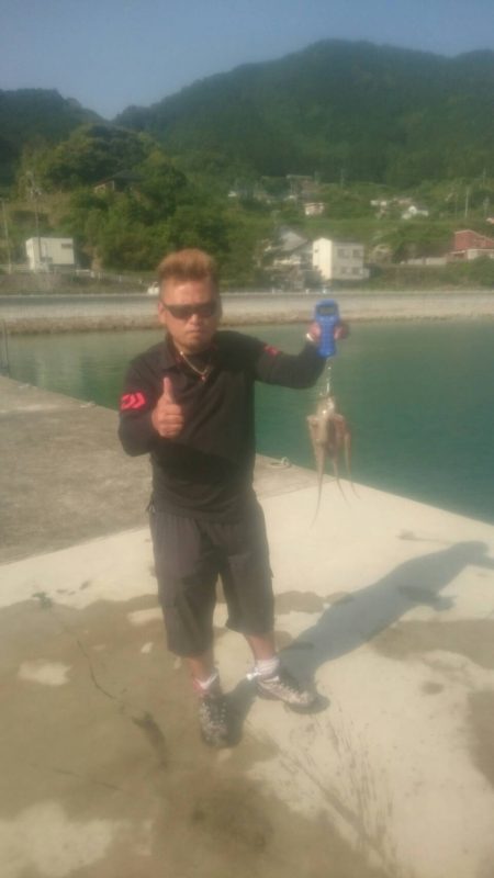 アオリイカとタコ