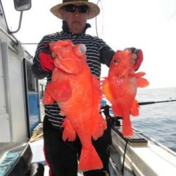 土佐安芸のハマちゃん