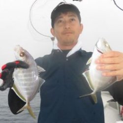 土佐安芸のハマちゃん