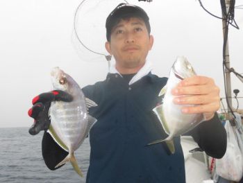 土佐安芸のハマちゃん