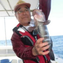 土佐安芸のハマちゃんの釣果