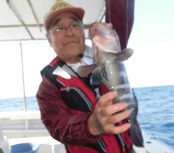 土佐安芸のハマちゃんの釣果