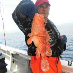 土佐安芸のハマちゃんの釣果