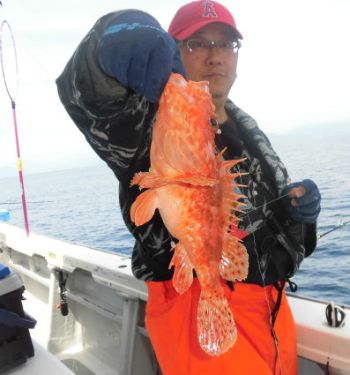 土佐安芸のハマちゃんの釣果