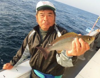 土佐安芸のハマちゃんの釣果