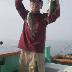 土佐安芸のハマちゃんの釣果