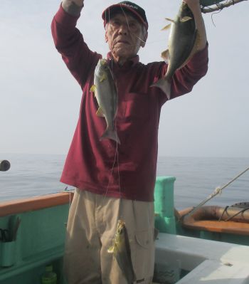 土佐安芸のハマちゃんの釣果