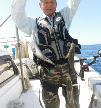 土佐安芸のハマちゃんの釣果