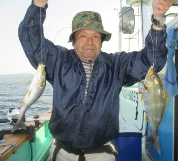 土佐安芸のハマちゃん