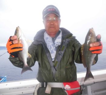 土佐安芸のハマちゃんの釣果