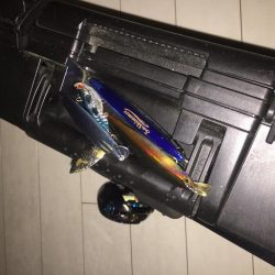 犀川水系デイゲーム