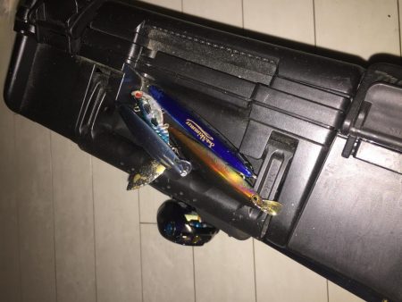 犀川水系デイゲーム