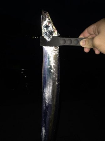 タチウオゲット