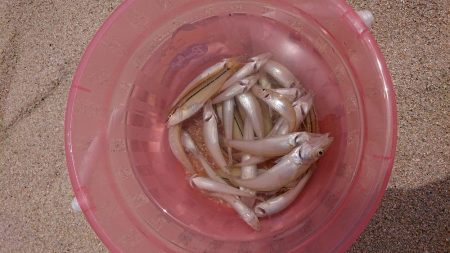 キス本格シーズン到来!