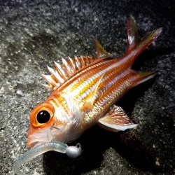 宮古島　平良港にてライトゲーム