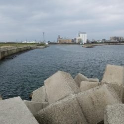 はじめてきました