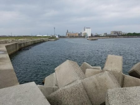 はじめてきました