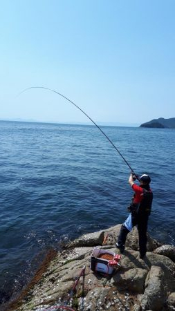 ぎょ～さん釣れた