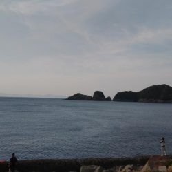 まさかの魚が釣れました