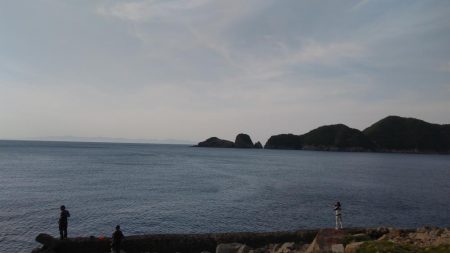 まさかの魚が釣れました