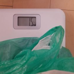 DBはさわれないけどイカは釣れる