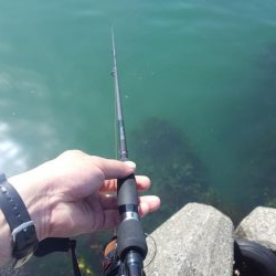 久々の陸っぱりエギング(コウイカ狙い)