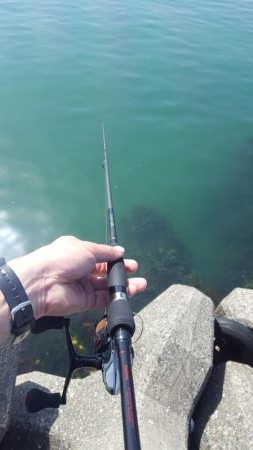 久々の陸っぱりエギング(コウイカ狙い)