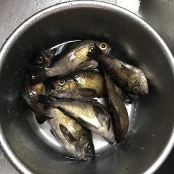 いつもと違うパターン