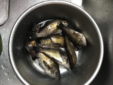 いつもと違うパターン