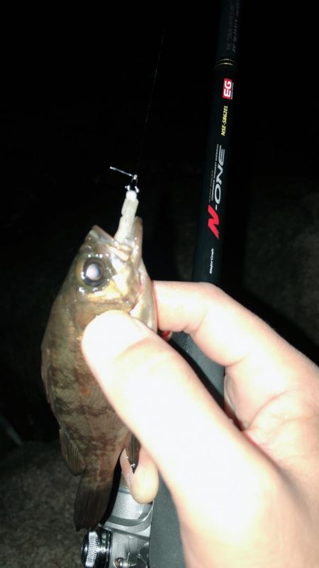 まだまだメバリング