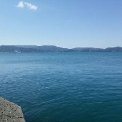 朝タチウオ撃沈からの…