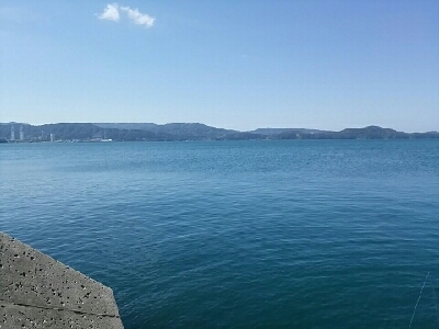 朝タチウオ撃沈からの…