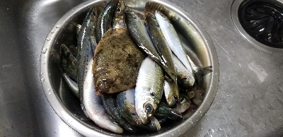 とっとパーク小島