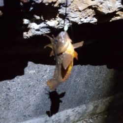 ゴールデンウィーク最終