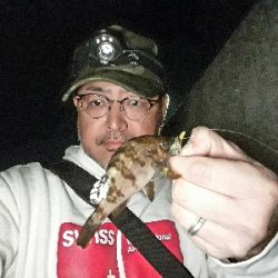 数釣りなら、楽しめる