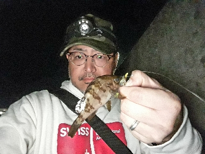 数釣りなら、楽しめる