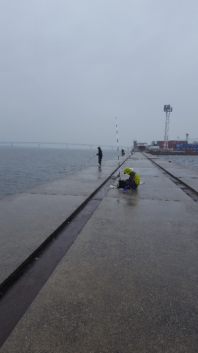 やっぱり大雨に…