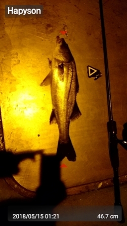 廿日市メバリング